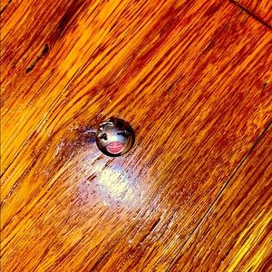 Pandora Charm with Pandora pouch.